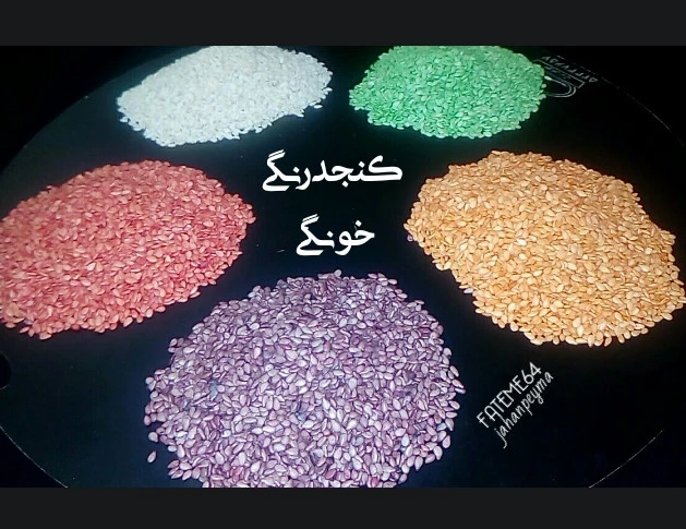 عکس کنجد رنگی خونگی