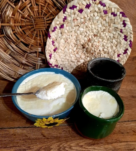 ماست خانگی (بهمراه تمام نکات)