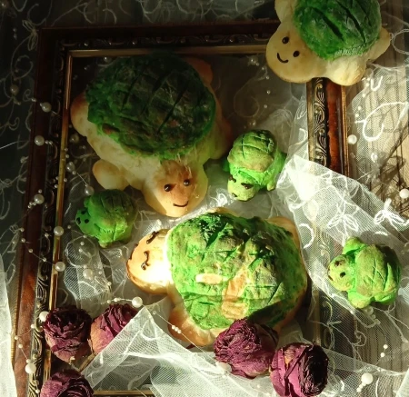 ملون پان لاک پشتی