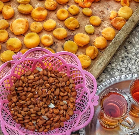 برگه زردآلو (قیسی)