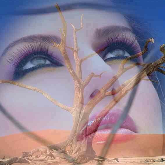 sahele sheni