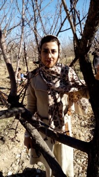 najmeh