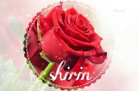 ❤❤   SHIRIN  ❤❤