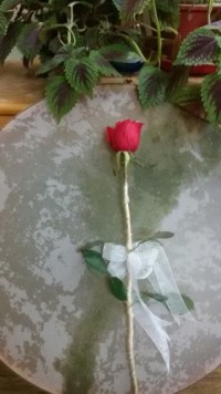 fatemeh77