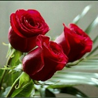 پریسامیرزایی