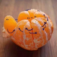 درسا