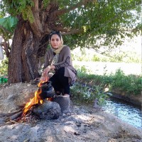 Maryam Noroozi