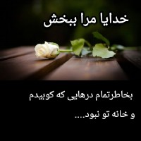 رز سفید