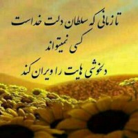 maman mahdy