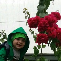 تبریز قیزی