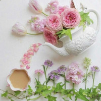 Sweety