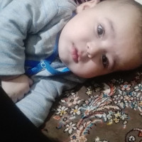 قاصدک