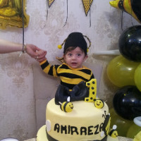 amirreza