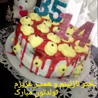 ASENA 94