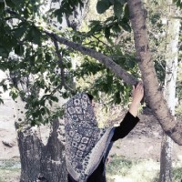 مریم