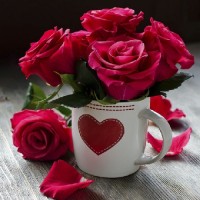 ناتاشا