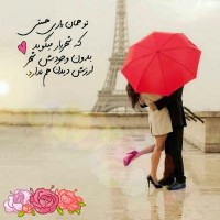 Fatemeh.M