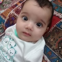 ترلان