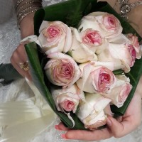ghazal roodi