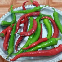 زهرا خانومی 