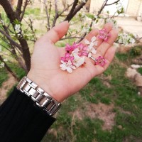 ساقه طلایی