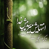 فاطمه