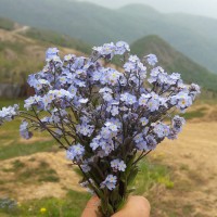 انرژی مثبت