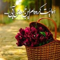 زهرا