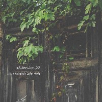 گلی
