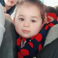 nahal ahmadi