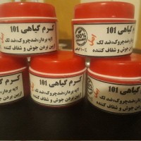 سوسن حبیبی 