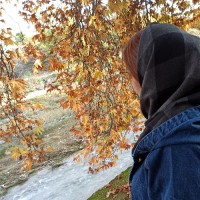 mozhgan.krm