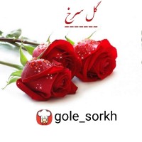 gole_sorkh