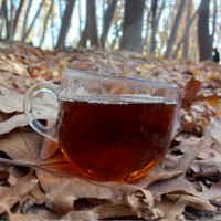 متین