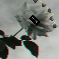 ♡setiya♡