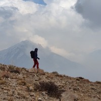 لیدی