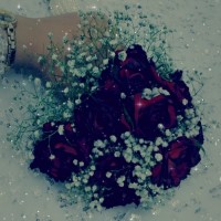 ♡~Ňaŕgësş~♡