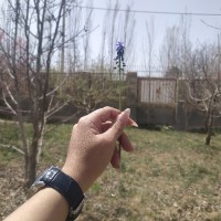mahdiyeh