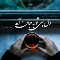 فاطمه....آمل