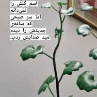 مامان ایلین