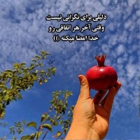 محمدی