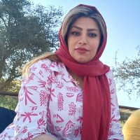 نانی