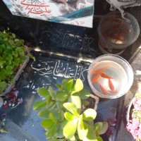 حضرت عشق