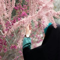 ◇◇♡الهام♡◇◇