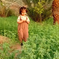 زینب&  