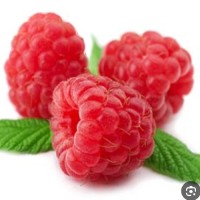 تمشک