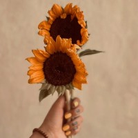 ڪــــیانـا