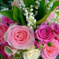 ❤ MAMANE Z❤