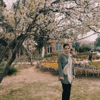 Fatemeh plvni