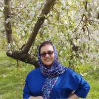 مامان نازی